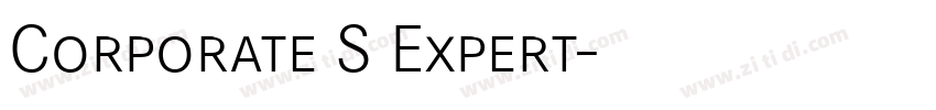 Corporate S Expert字体转换